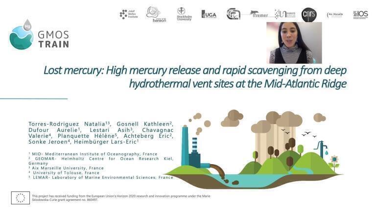 Hydrothermal vents, are they the most important natural source of mercury to the Ocean? A study from the Mid-Atlantic Ridge